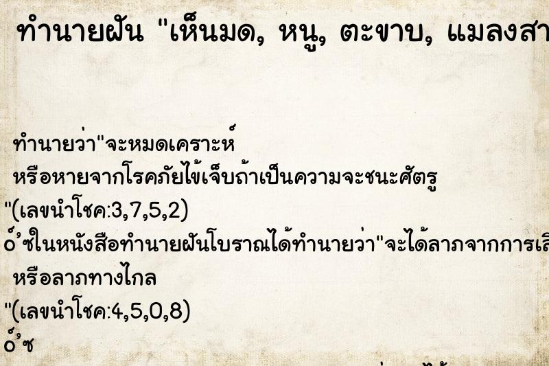 ทำนายฝันทำนายฝันเห็นมด,หนู,ตะขาบ,แมลงสาบเต็มไปหมด